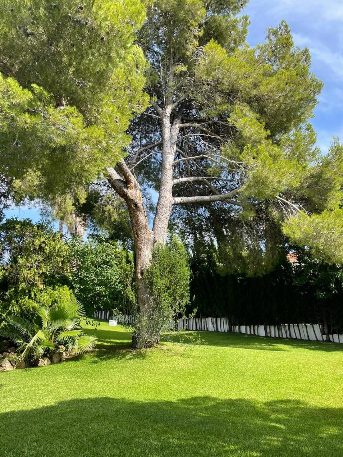 Casa Mediterranea Con Gran Jardin Y Piscina A 500 M De La Playa Villa *